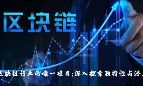 区块链行业的唯一项目：深入探索独特性与潜力