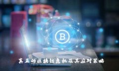  真正的区块链危机及其应对策略