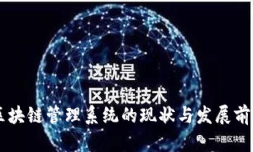 云南区块链管理系统的现状与发展前景分析