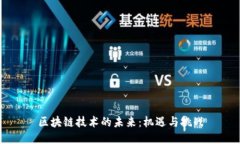 区块链技术的未来：机遇与挑战