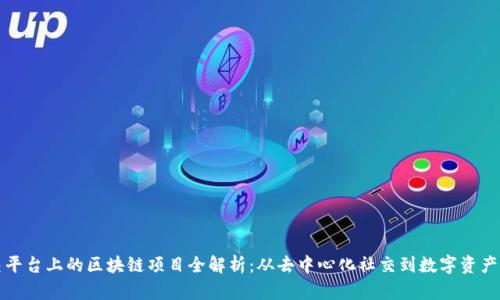 社交平台上的区块链项目全解析：从去中心化社交到数字资产管理