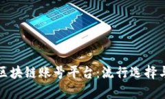 深度解析区块链账号平台：流行选择与使用技巧