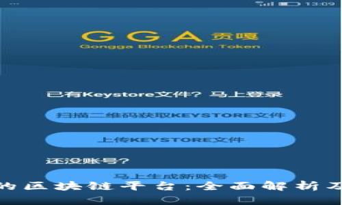 探索真正的区块链平台：全面解析及应用案例