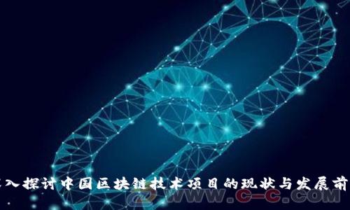 深入探讨中国区块链技术项目的现状与发展前景
