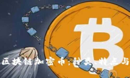 全面解析区块链加密币：种类、特点与投资前景