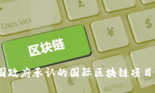  中国政府承认的国际区块链项目概述