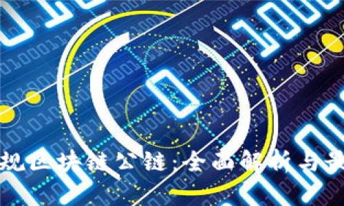 中国正规区块链公链：全面解析与最新动态