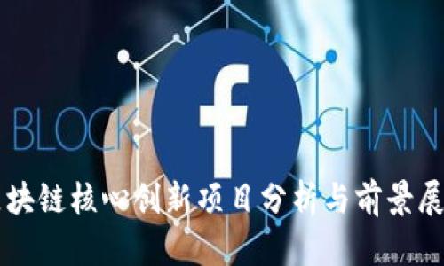 区块链核心创新项目分析与前景展望