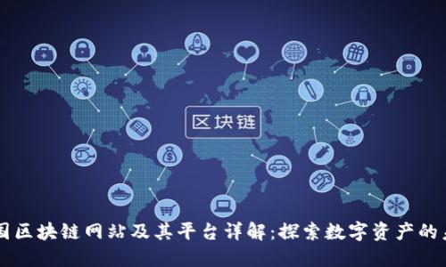 美国区块链网站及其平台详解：探索数字资产的未来